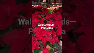 Walmart finds—Poinsettia