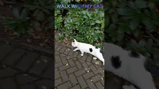 🐈 Walk with my white cat #catshorts #cutecat