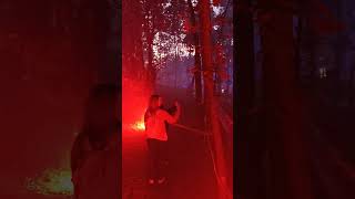 Halloween im Frankenhof - Gruselwald 🎃👻 #halloween #nebel #mystic #laser #light #forest #tierpark