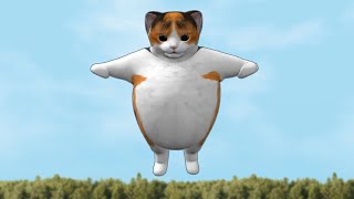 Funny fat cats and balloons