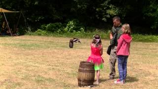 Fantastyval 2014 Kids feeding Eagles