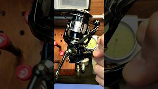 Shimano 23 Vanquish стоит ли снимать полноценный ролик про данную модель? #shimano #daiwa #рыбалка