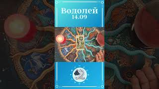 Водолей, карта дня таро  Расклад таро онлайн на 14 сентября