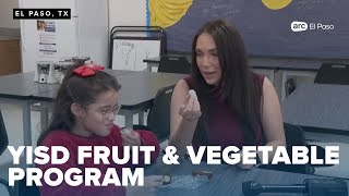 Ysleta schools launch fresh fruit and vegetable program for students