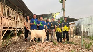 Mumtaz boer farm kedatangan tamu istimewa