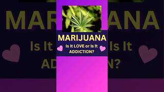 Marijuana: Is it LOVE Or Is It ADDICTION?