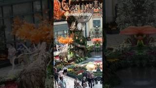 Bellagio Conservatory and Botanical Garden Fall 2024 #lasvegas #bellagioconservatory #lasvegascasino