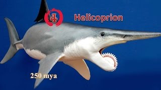 Top 5 Prehistoric sea monsters