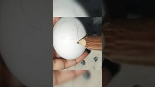 gol gol anda🥚🤣😂 #shorts #funny #comedy #subscribe_my_channel #@ishavlogs__ #ytshort #trending #viral