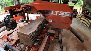 Mesquite on the Woodmizer #sawmill  #woodmizer  #countrylife  #mesquite