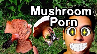 Oregon Coast Mushroom Porn (November 2020)