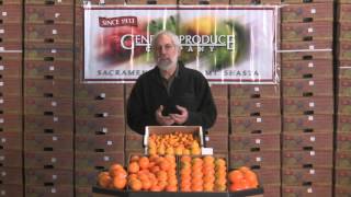 The Produce Beat - Effect of Freeze on Citrus