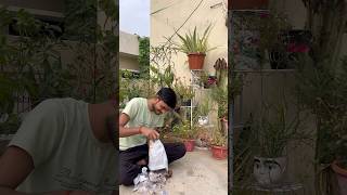 Chalo Winter Garden Taiyar Karen #garden #flowers #plants #youtube