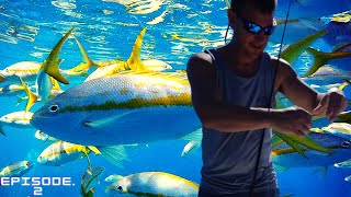 Fishing for Yellowtail Snapper in Marathon Florida | Florida Keys Family fishing trip EP.2