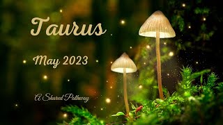 Taurus May 23 General - Letting Go Of The Past.