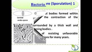 Bacterial Structures, Structures de la bacterie