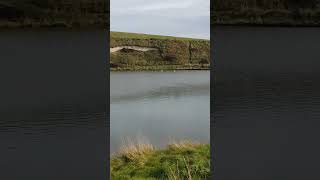 Seaford England 2023 Seven Sisters Cliffs Hike #2