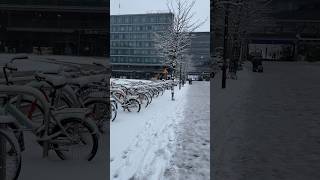 Sudden April Snow in Helsinki!🌨️🥶⛄️🙂‍↔️