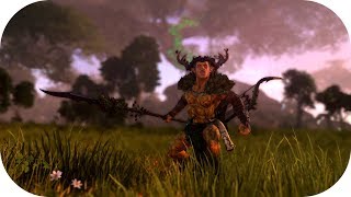 Total War: Warhammer II 🍂 Faction Guide 🍂 The Wood Elves