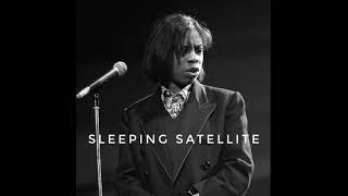 Sleeping Satellite - Tasmin Archer