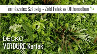 DECKO Verdure Gardens - Zöld Falak: Tökéletes Megoldás Otthoni és Kereskedelmi Felújításhoz