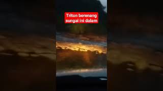 dikalimantan triton berenang sebrangi sungai#shorts #short #shortvideo #shortsfeed #shortsviral