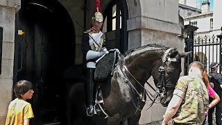 HEARTWARMING: King's Guard Horse Quenched & Spoiled by Trooper on Scorching Day!