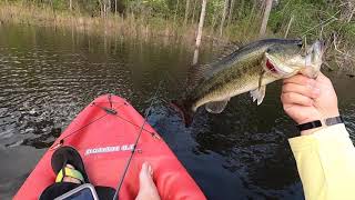 EPIC day of kayak fishing! ((Tons of bass))