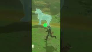 Eispferd Glitch |Botw #zelda #botw #breathofthewild #nintendo #nintendoswitch