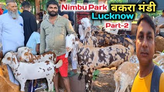 बेहतरीन बरबरी बकरे की जोड़ी आज Nimbu park bakra mandi में आयी |Part-2 |Bakra Mandi लखनऊ