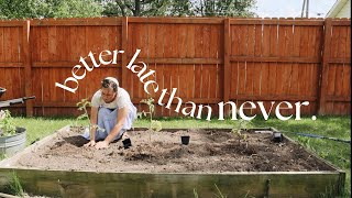 GARDENING DAY | finally planting, fresh baking, and making a new garden bed!