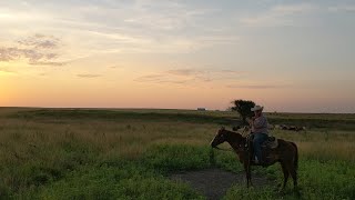 A Day in The Life of a Greenwood County Cattle Rancher