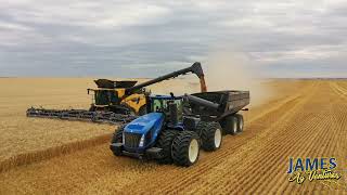 Wheat Harvest 2024 Canada / New Holland CR11 & CR10.90 / JAMES AG VENTURES