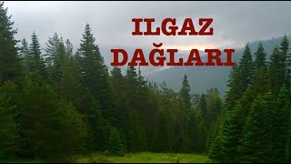 ILGAZ DAĞI ILGAZ ORMANLARI