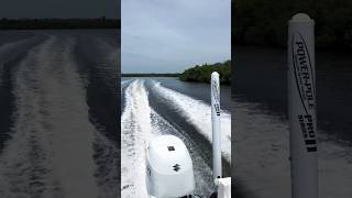 Weekend Adventures 🏝️ Backcountry snook fishing in SW Florida 🔥 #reelfinsflorida