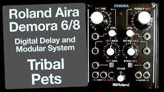 Roland Aira Demora Delay + MI Rings + Intellijel Rainmaker: Tribal Pets