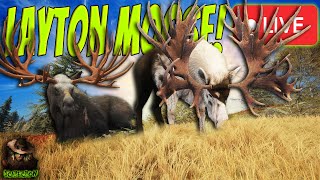 The Moose Are Loose Dont Be A Silly Goose! Oh And Red Deer After! Call of the wild