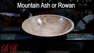 Woodturning a Large Rowan / Mountain Ash Bowl