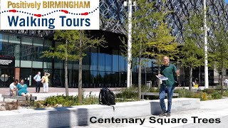 Centenary Square Trees Explained