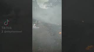 Tiktok Repost of a man biking through a burning forest