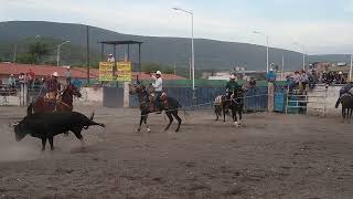 toros de capa y lazo en tlaquiltenango morelos