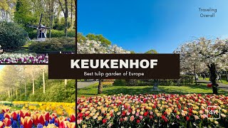 Best Tulip garden in the world - Keukenhof Holland - beautiful Flowers 4K