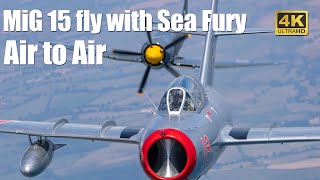 Air to Air MiG 15 fly with Sea Fury