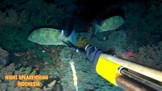 Pastofiri Island, West Halmahera, NIGHT SPEARFISHING INDONESIA