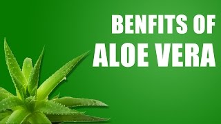 Top Benefits of Aloe Vera for skin & Hair || Aloe Vera Benefits 2017  || What It Takes