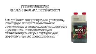 Cтимулятор роста и цветения - CANNA Boost Accelerator