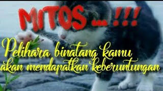 11 MITOS MEMELIHARA BINATANG//MENDAPATKAN KEBERUNTUNGAN