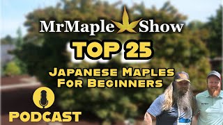 Top 25 Japanese Maples For Beginners | MrMaple Show Podcast