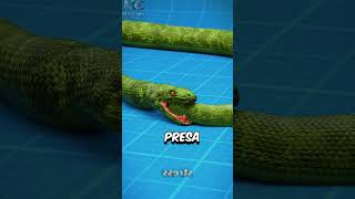 SI VES UNA SERPIENTE COMO ESTA HUYE!  #sabias #nosabias #datosquenosabias #fortnite