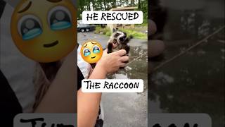 From Tree to Family 🦝 The Incredible Raccoon Rescue Story! #shorts #shortvideo #shortsfeed